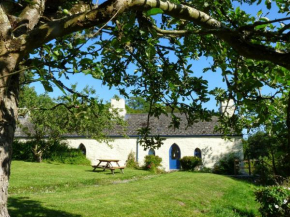 Penwaun Newport, Pembrokeshire